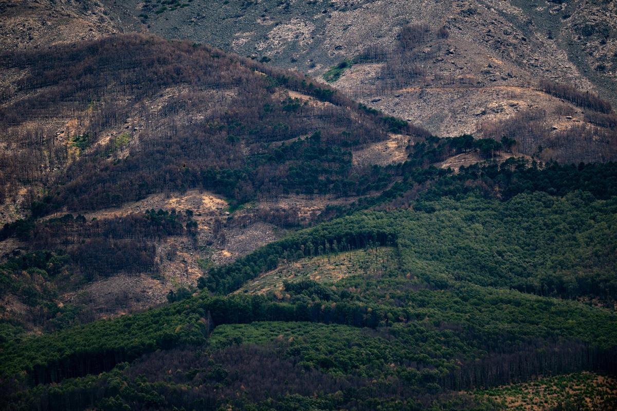 Imagen de los montes del Ambroz en agosto de 2026. La huella del fuego permanece sobre todo en las zonas más altas.