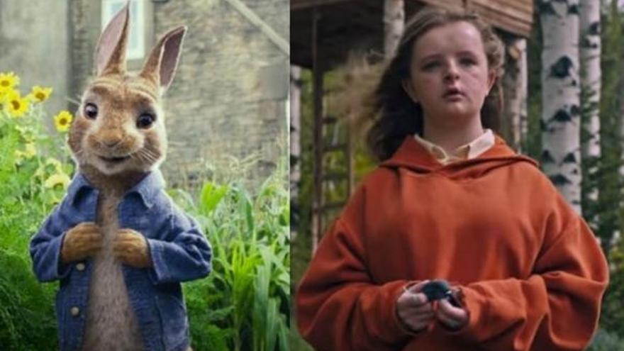 Imágenes de &#039;Peter Rabbit&#039; y &#039;Hereditary&#039;.