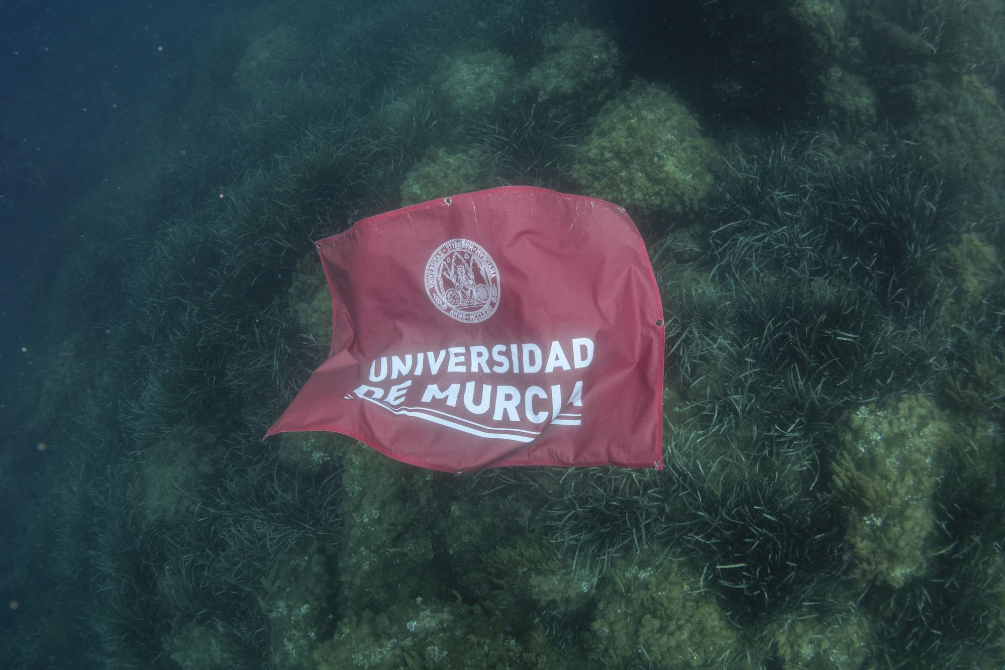 La Universidad de Murcia 'se moja' por los fondos marinos de Águilas