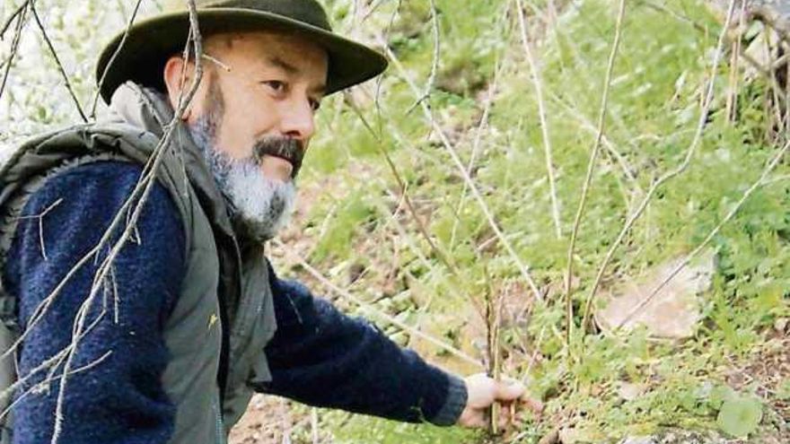 José Montero recoge espárragos silvestres en una costanera del arribanzo fermosellano, en la pasada campaña.