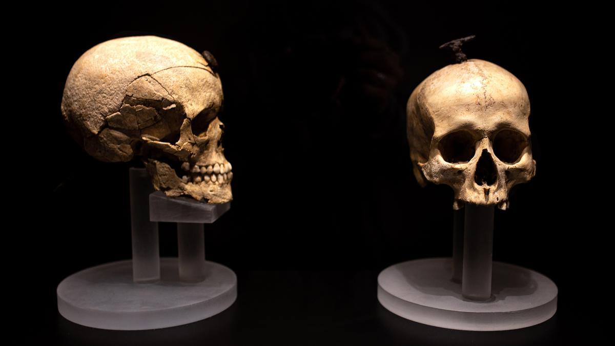 A la izquierda, la cabeza trofeo de Ullastret, y, a la derecha, la primera de la colección, descubierta en 1904 en Santa Coloma de Gramenet, que pertenecía a una mujer.
