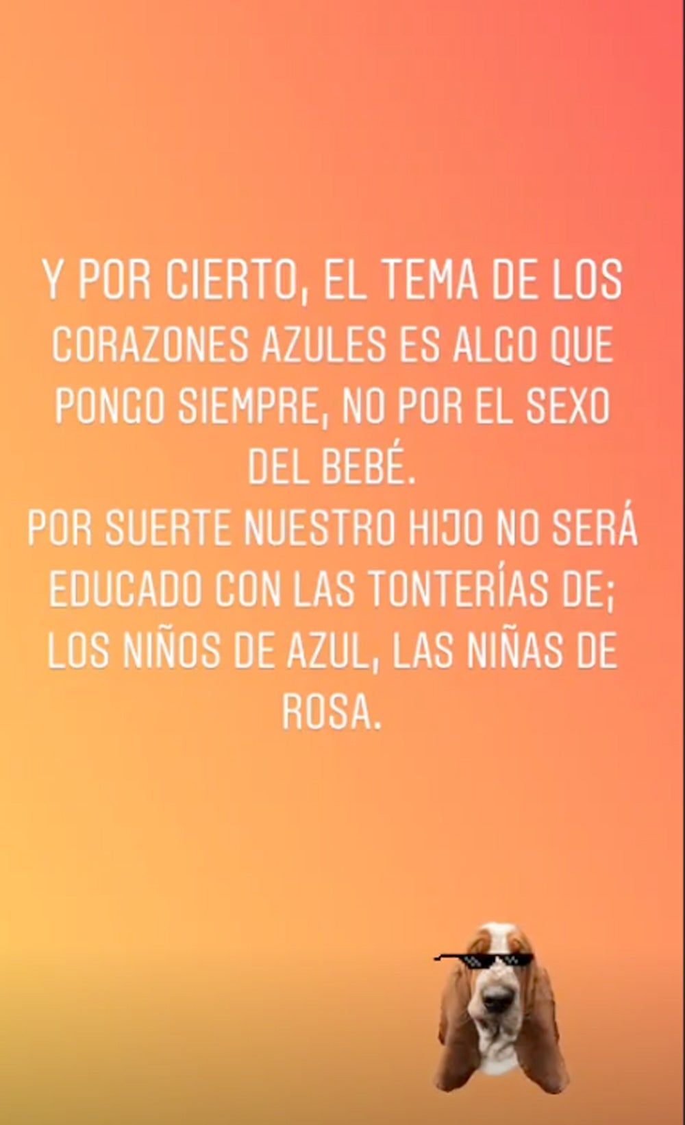 Stories de Sara Sálamo sobre el sexo de su hijo
