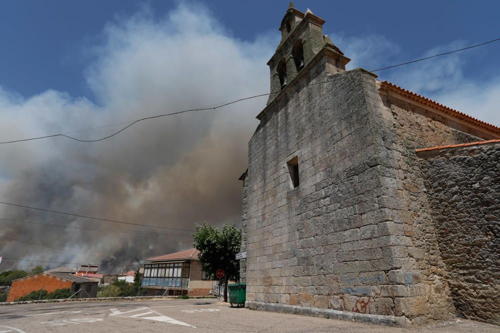 Incendio Pino del Oro y Castro de Alcañices