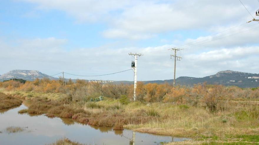 Tram de la línia elèctrica que es traurà de la Pletera.