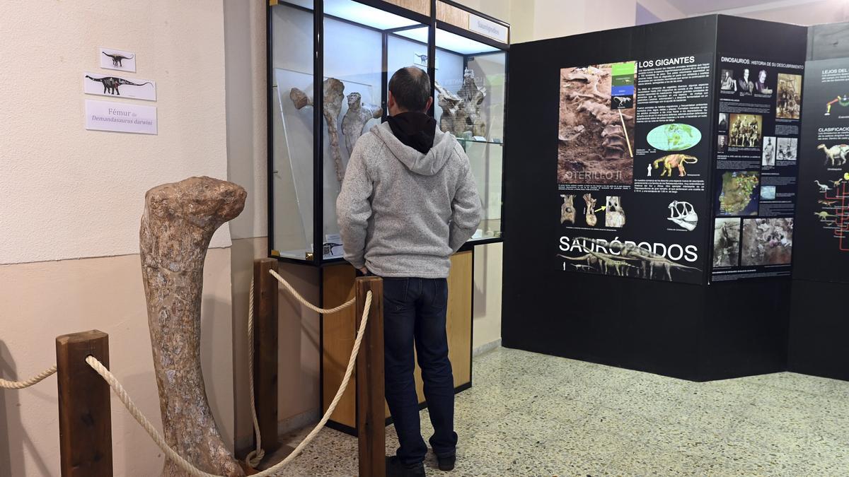 Un visitante contempla parte de los restos fósiles expuestos.