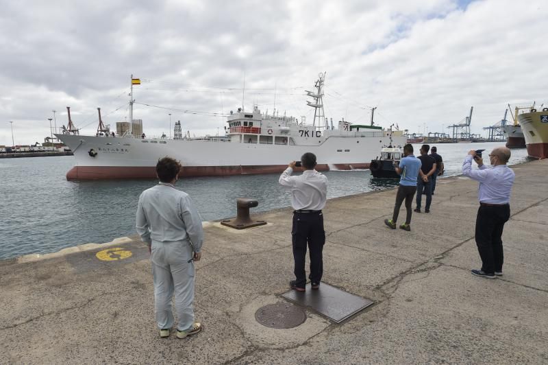 La flota pesquera japonesa, tradicional cliente del Puerto, amplía su presencia