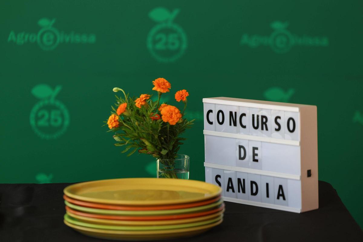 Galería: IX Concurso de Sandías en la cooperativa Agroeivissa Galería: IX Concurso de Sandías en la cooperativa Agroeivissa