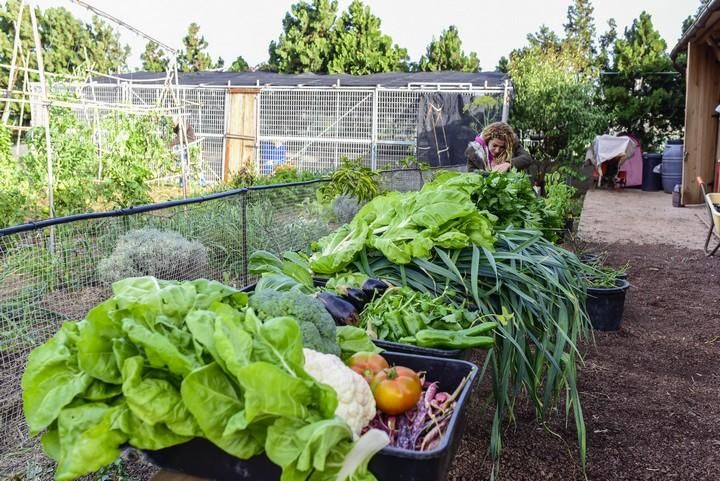 Visita escolar a la Granja Agricola del Cabildo