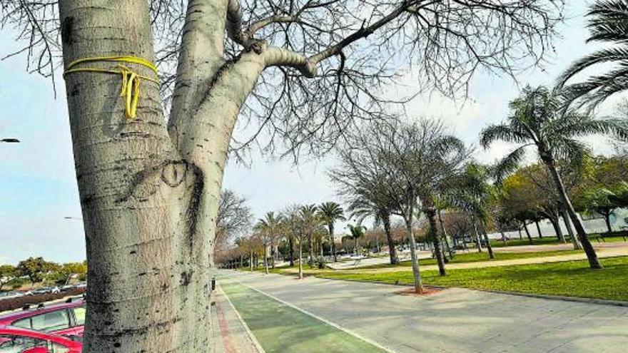 Intentan ahorcar a una mujer con una bufanda en un parque de Castelló