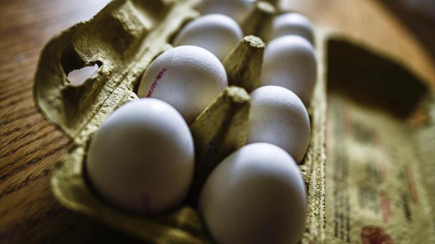 Holanda y Bélgica abren investigación por huevos contaminados