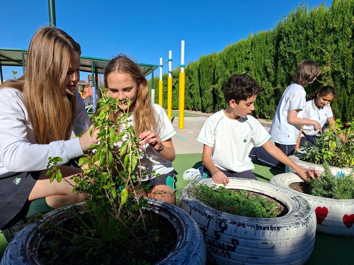 Una de las actividades desarrolladas por el alumnado del centro