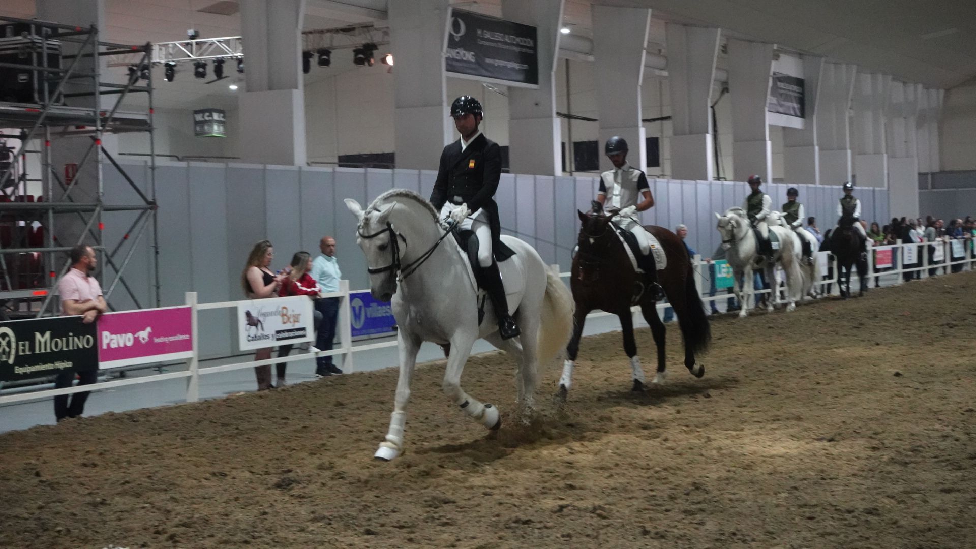 Feria del caballo de Torre Pacheco