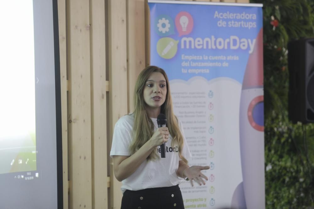 Startups MentorDay