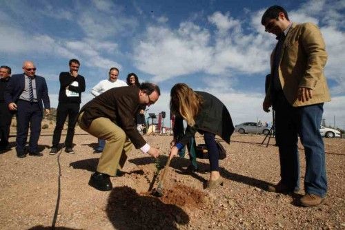 Plantan un bosque en el campus de Espinardo por el centenario de la UMU