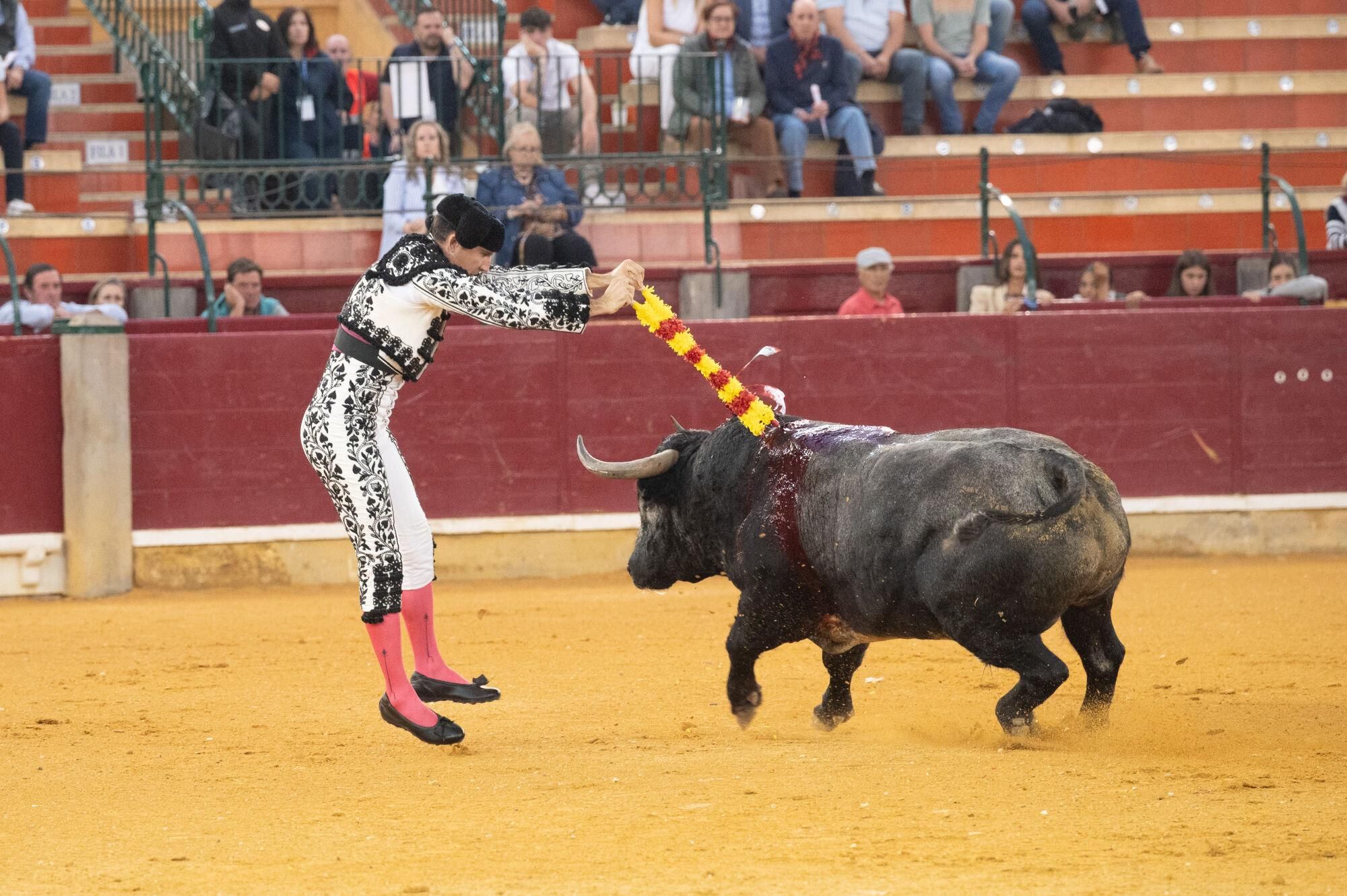 Concurso de ganaderías de la Feria del Pilar