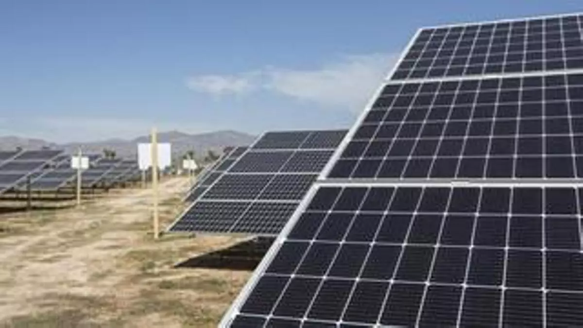 8.400 placas solares: la última planta fotovoltaica que quiere abrirse paso en Castellón