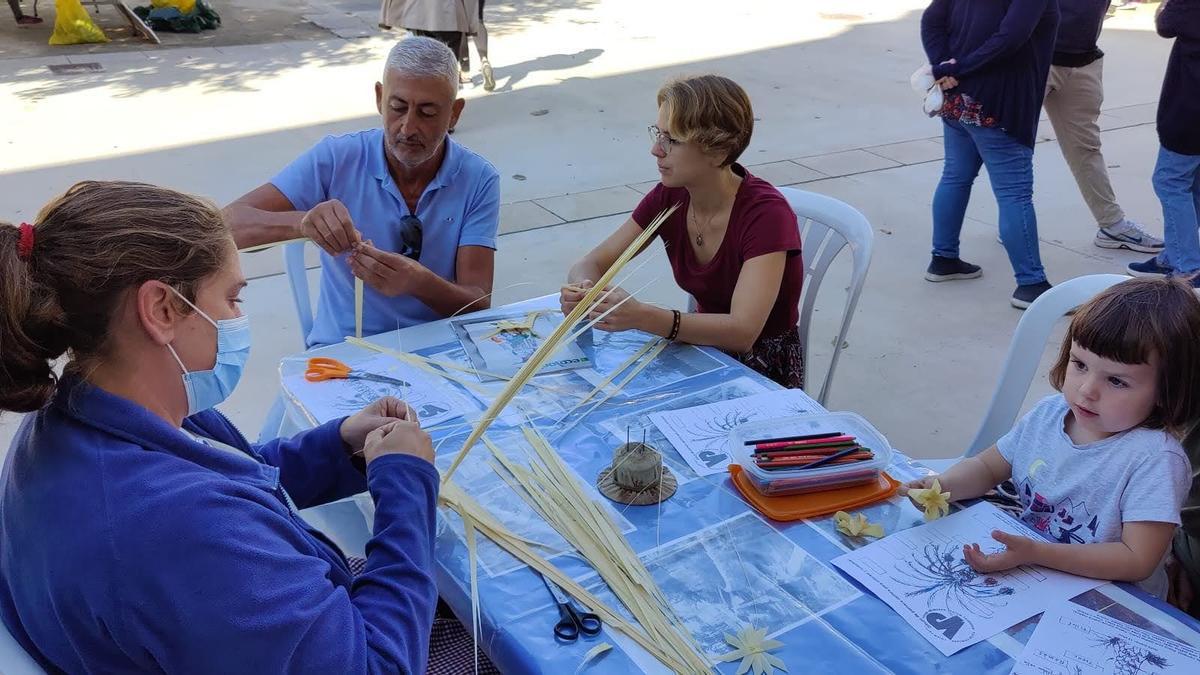 Actividades organizadas por Volem Palmerar