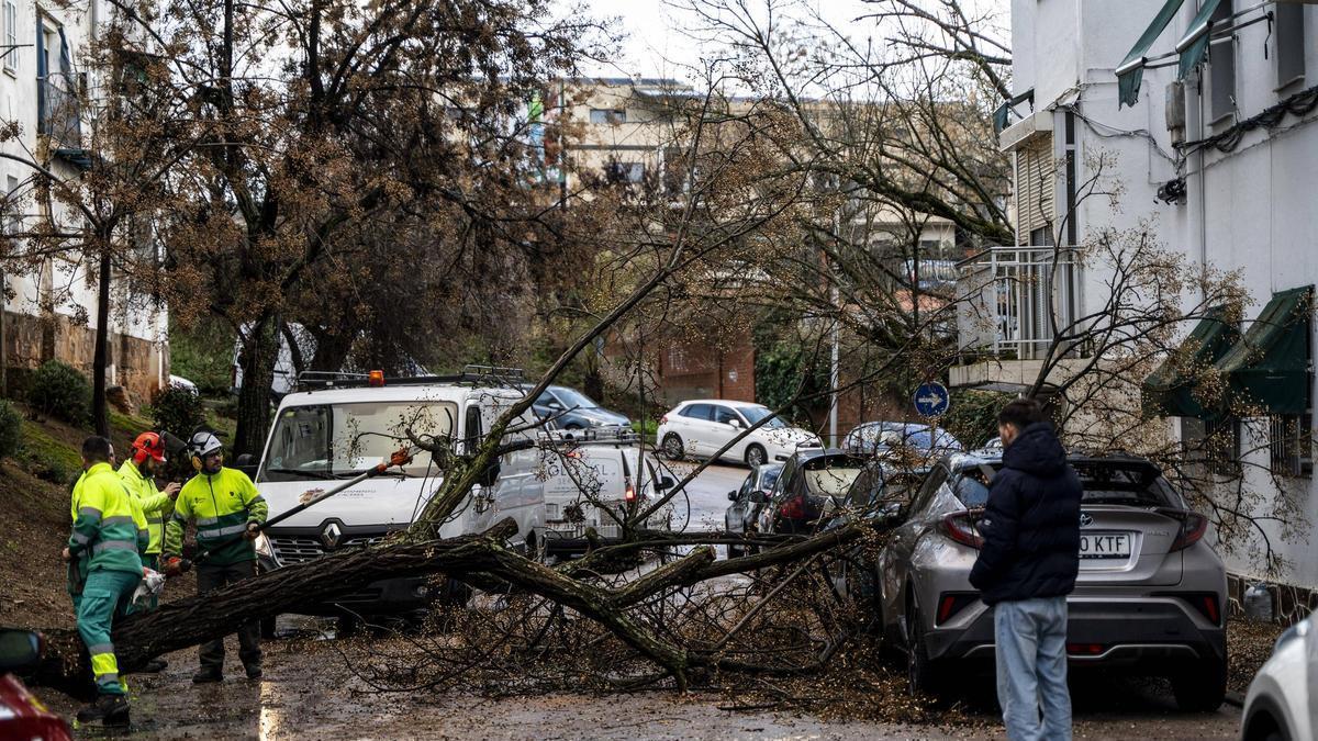 Fotogalería | El temporal en imágenes en Cáceres