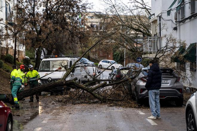 Fotogalería | El temporal en imágenes en Cáceres