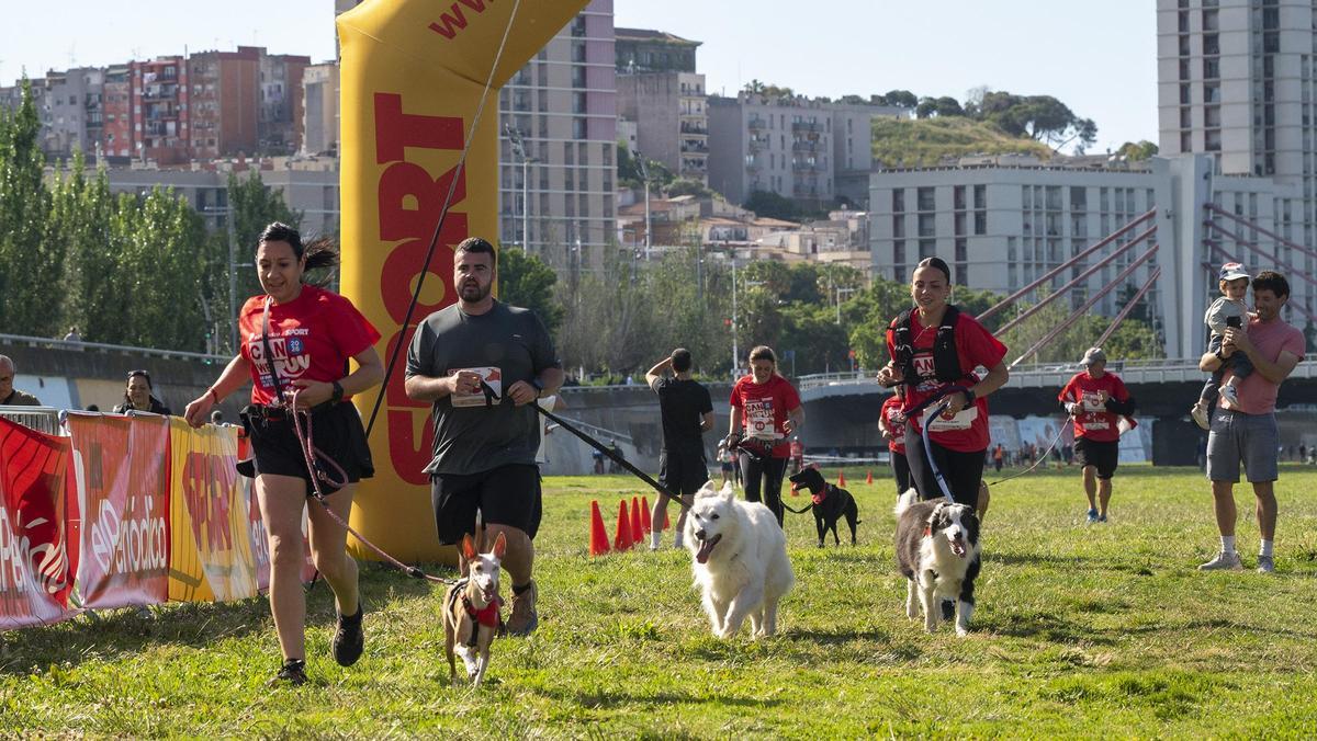 Carrera Can We Run 2026