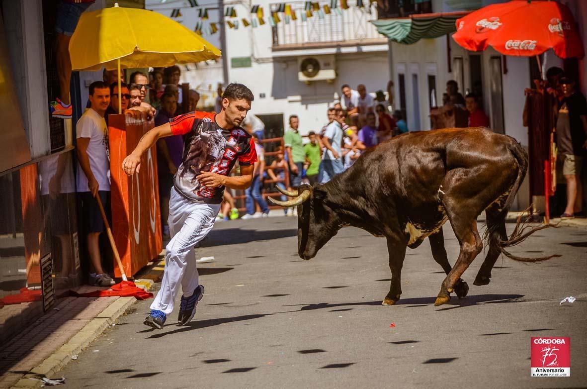 FOTOGALERÍA/ Vaquillas en El Viso