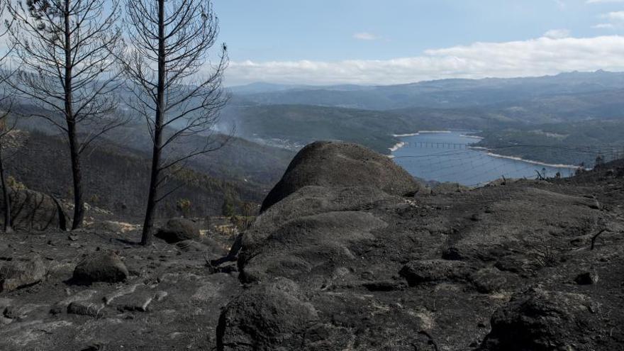 Panorámica del embalse de Lindoso, afectado por el fuego en O Entrimo del pasado verano. // Brais Lorenzo