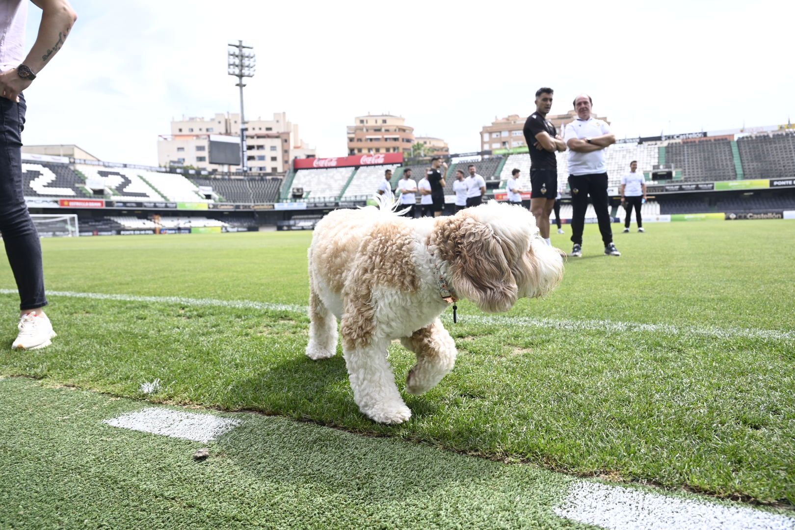 Galería de fotos: La afición lleva en volandas al CD Castellón