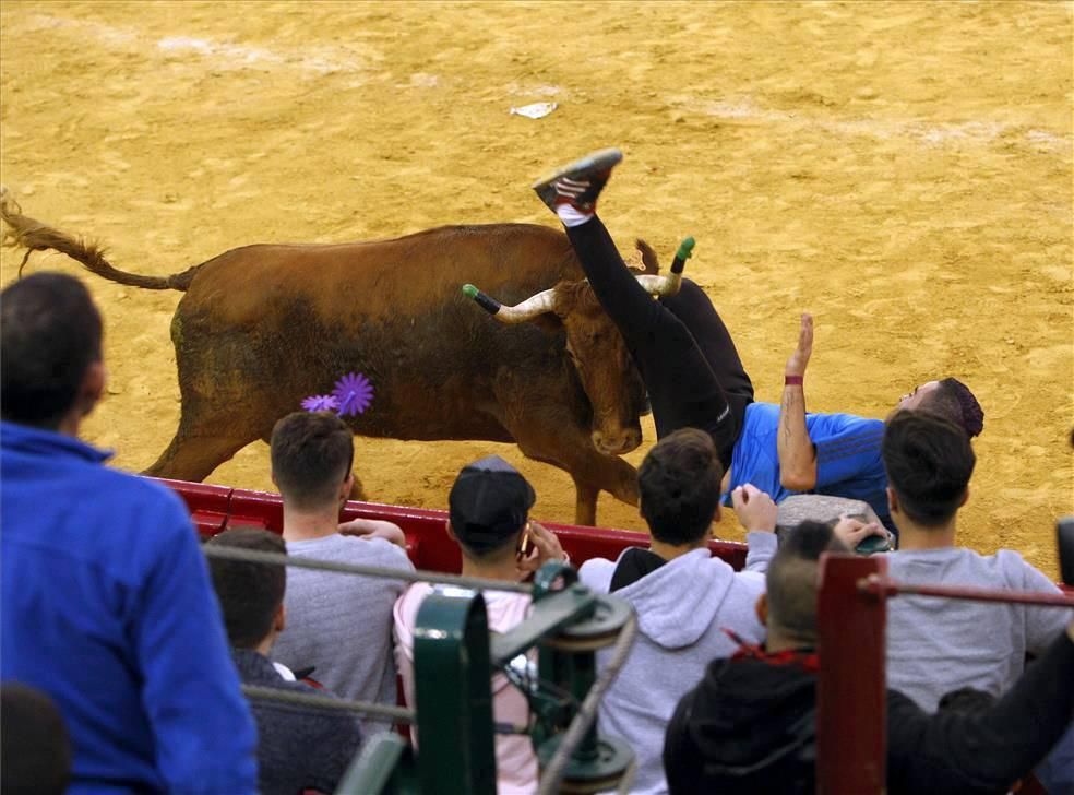 Mejores momentos de las Vaquillas