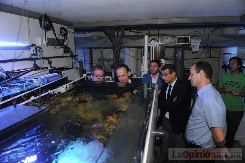 El acuario de la UMU albergará las especies emblemáticas del Mar Menor