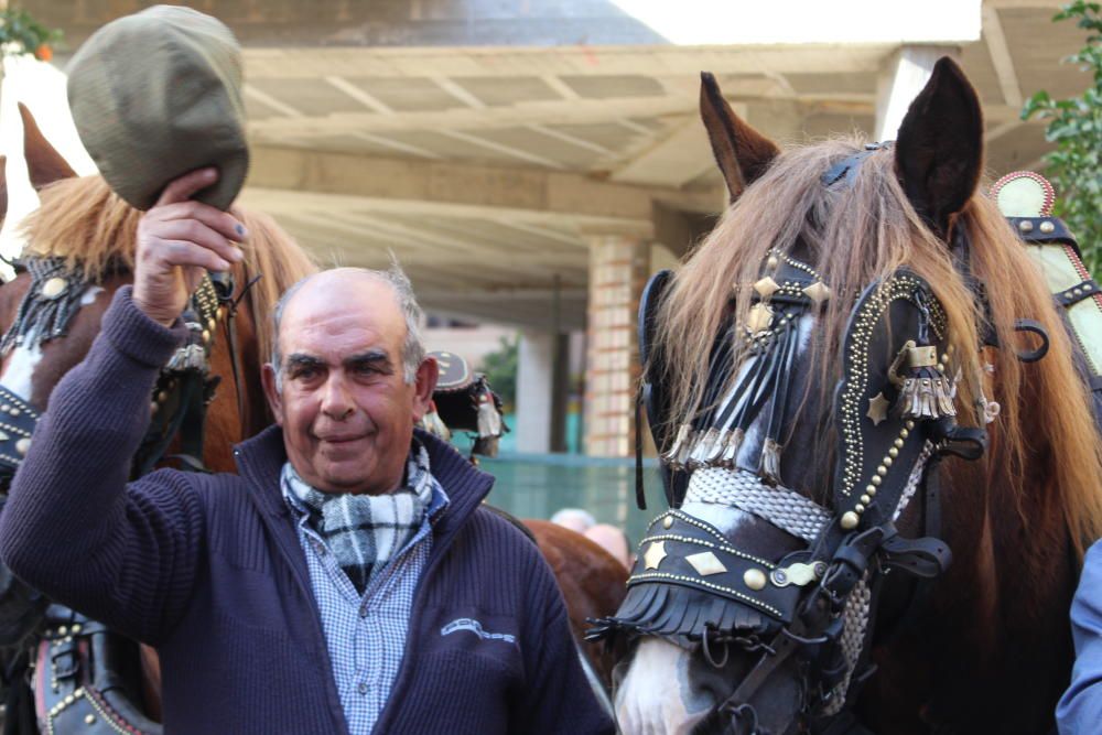 Fiesta de Sant Antoni en la ciudad de València