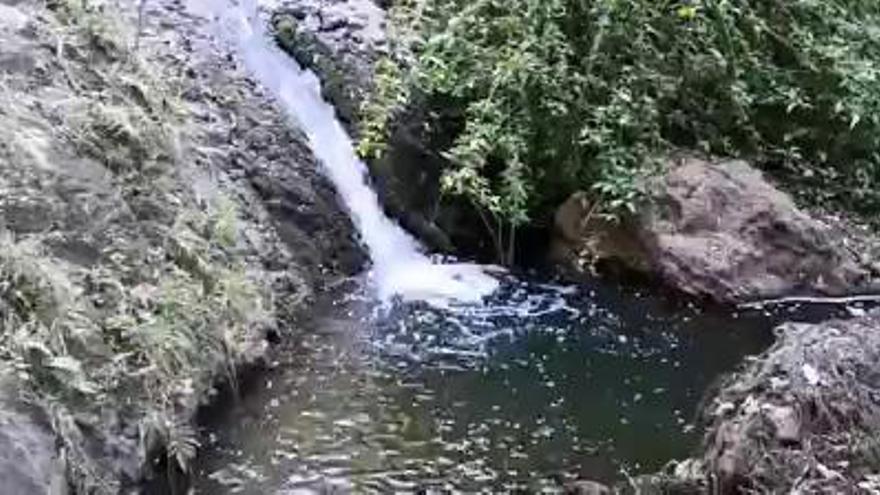 Tiempo en el Barranco de Azuaje