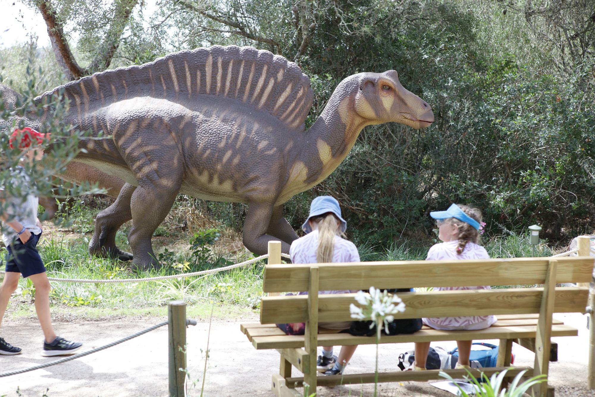 Besuch im neuen Dino-Park auf Mallorca