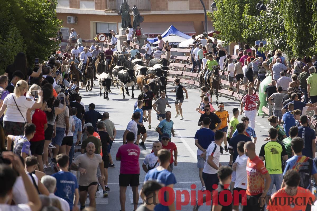 Sexto encierro de las Fiestas de Moratalla