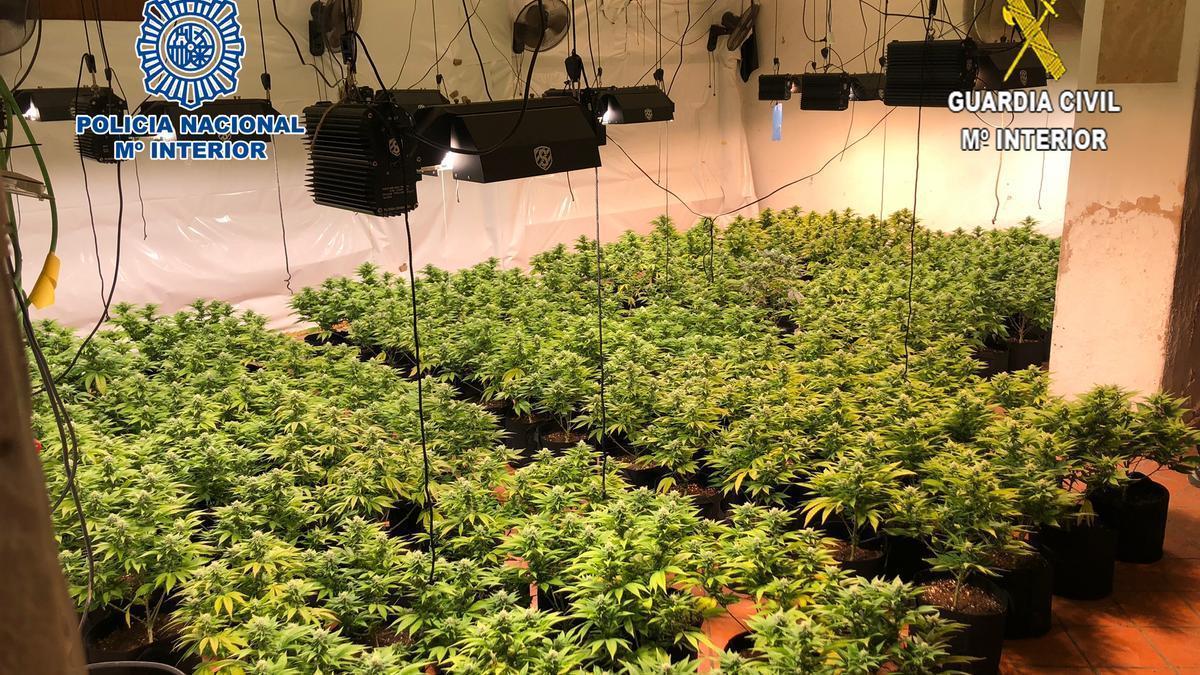 Cuatro detenidos por cultivar marihuana en la casa de un banco okupada en Alcoy