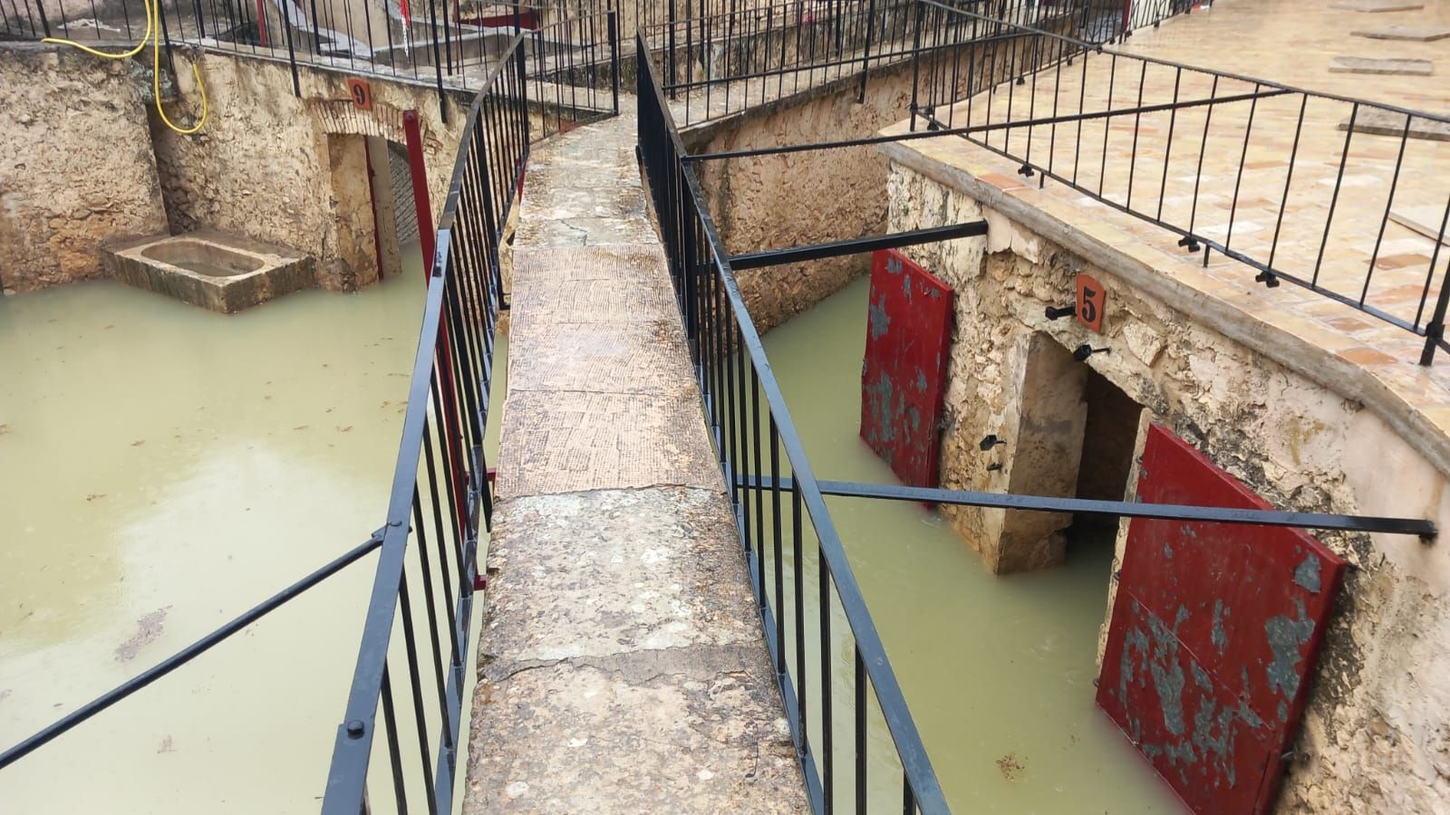 La plaza de toros de Bocairent, inundada por las últimas lluvias