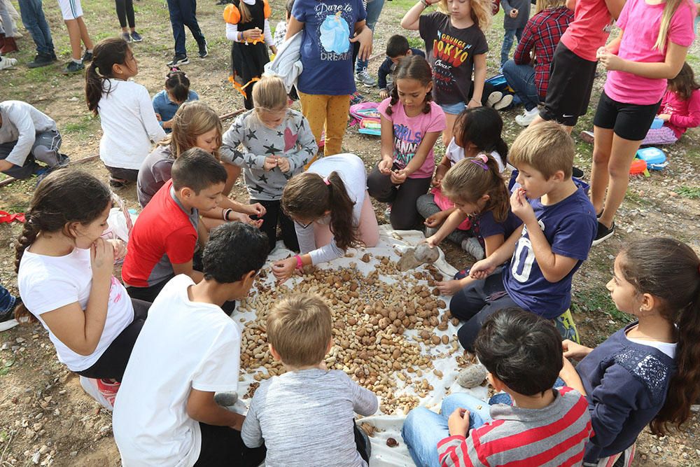 Alumnos de Can Cantó celebran una trencada en la Finca de Can Tomeu.