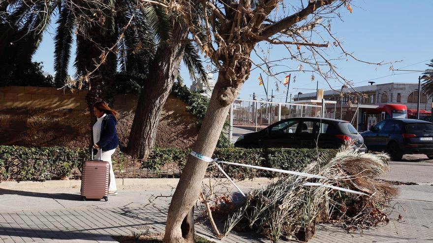 Las fuertes rachas de viento alcanzan ya los 80km/h y disparan el riesgo de incendios