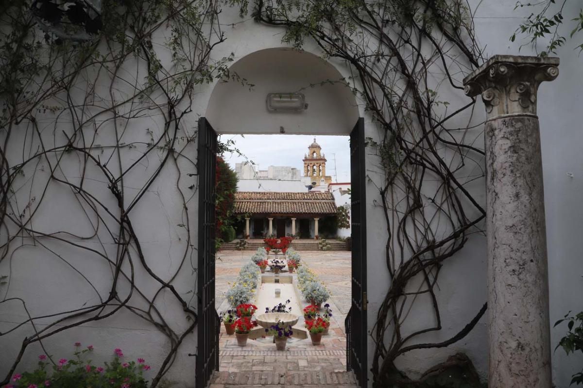 Los Patios de Córdoba: San Andrés (2)