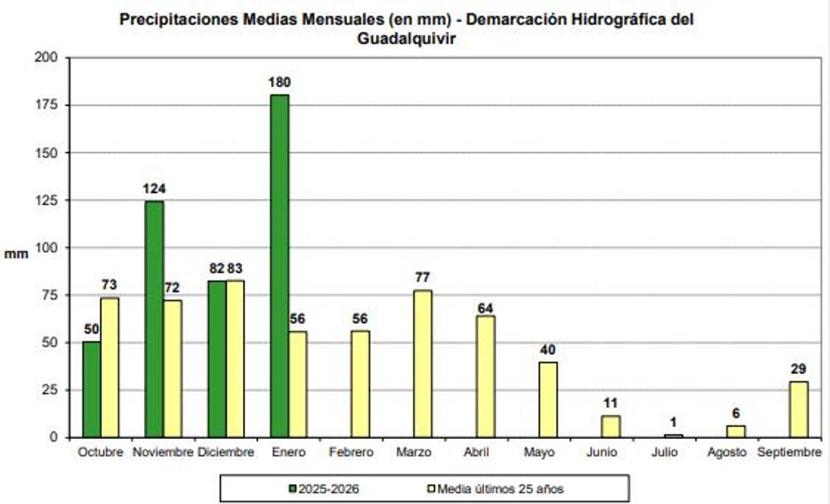 Precipitaciones medias mensuales en la demarcación hidrográfica del Guadalquivir.