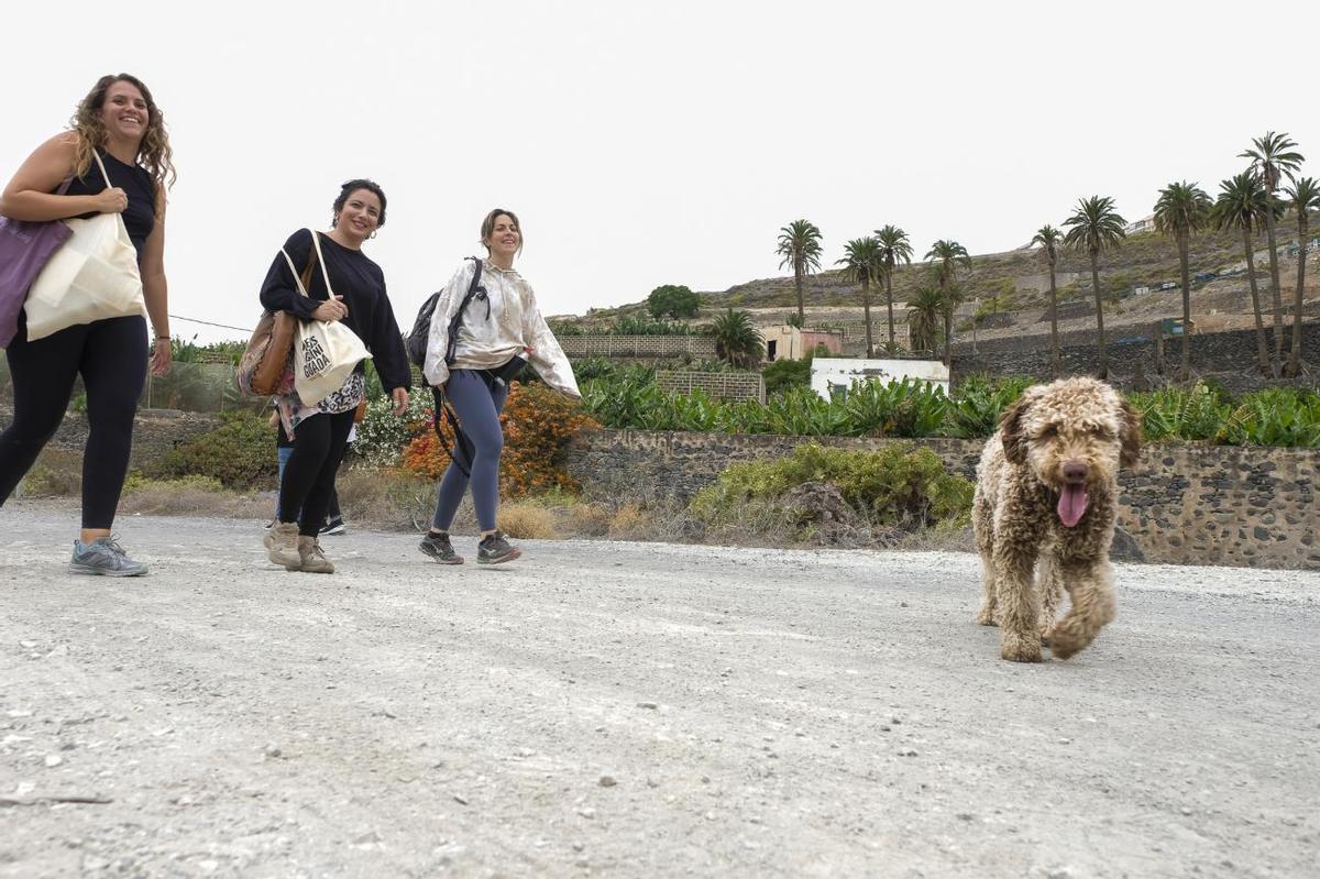 Paseo por el barranco con la nueva app Kleos Guiniguada Paseo por el barranco con la nueva app Kleos Guiniguada