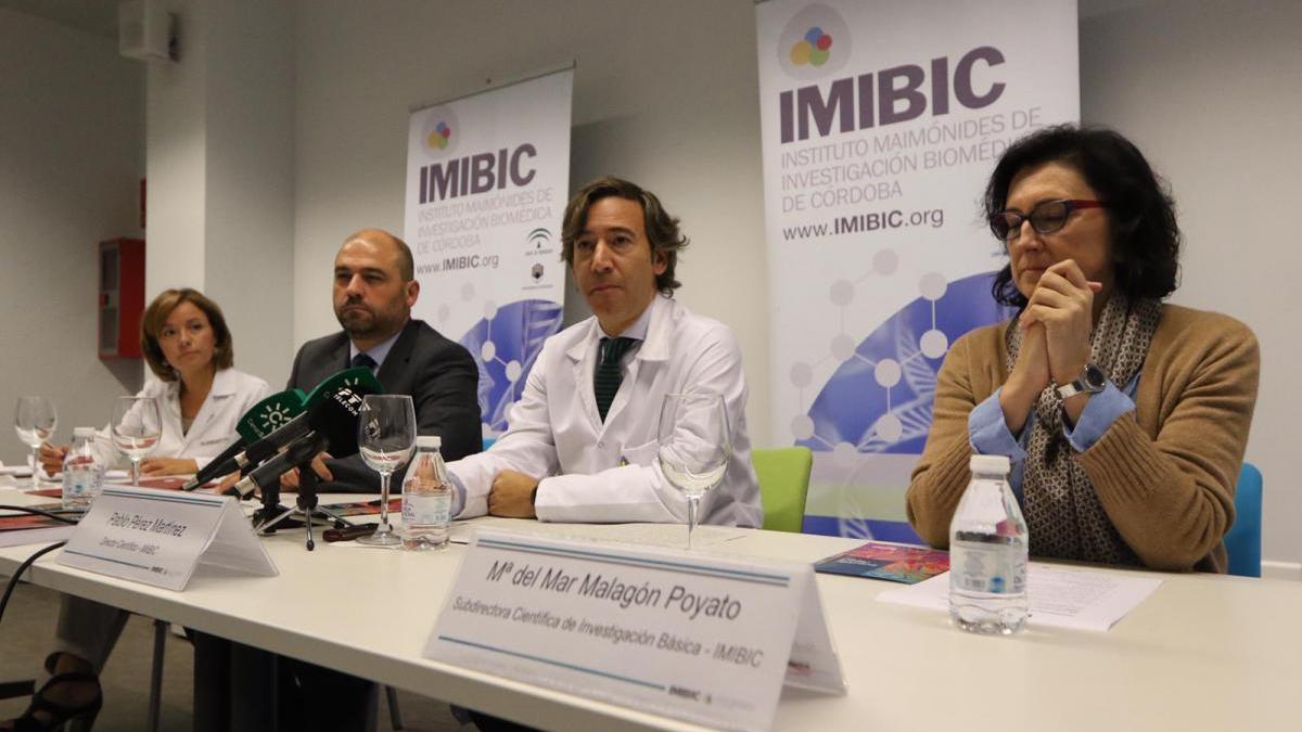 Imibic Córdoba: más de 500 investigadores en proyectos punteros