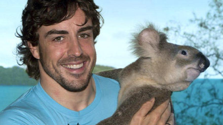 Fernando Alonso con un koala.