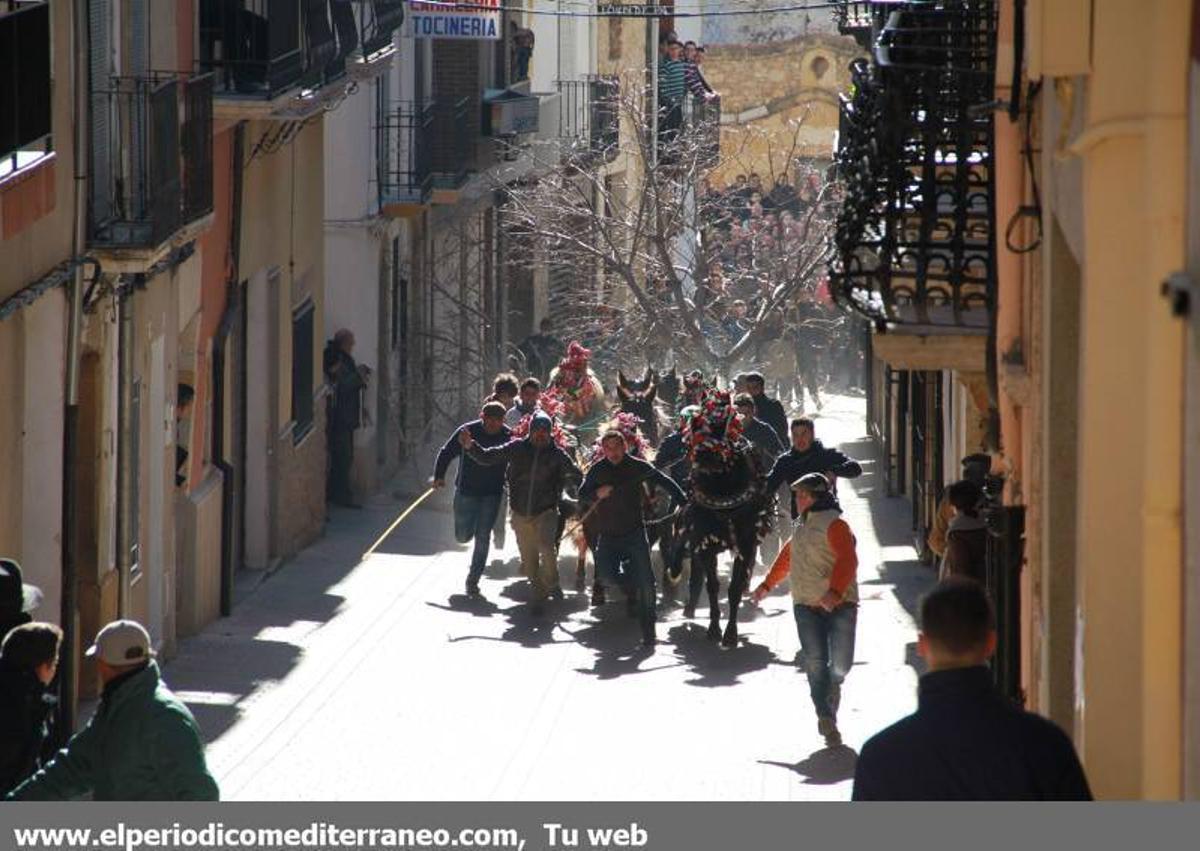 GALERÍA DE FOTOS -- Sant Antoni en la comarca de Els Ports