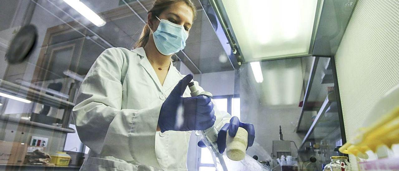 Micaela Giani analiza pigmentos extraídos de las salinas para su uso contra el cáncer. |
