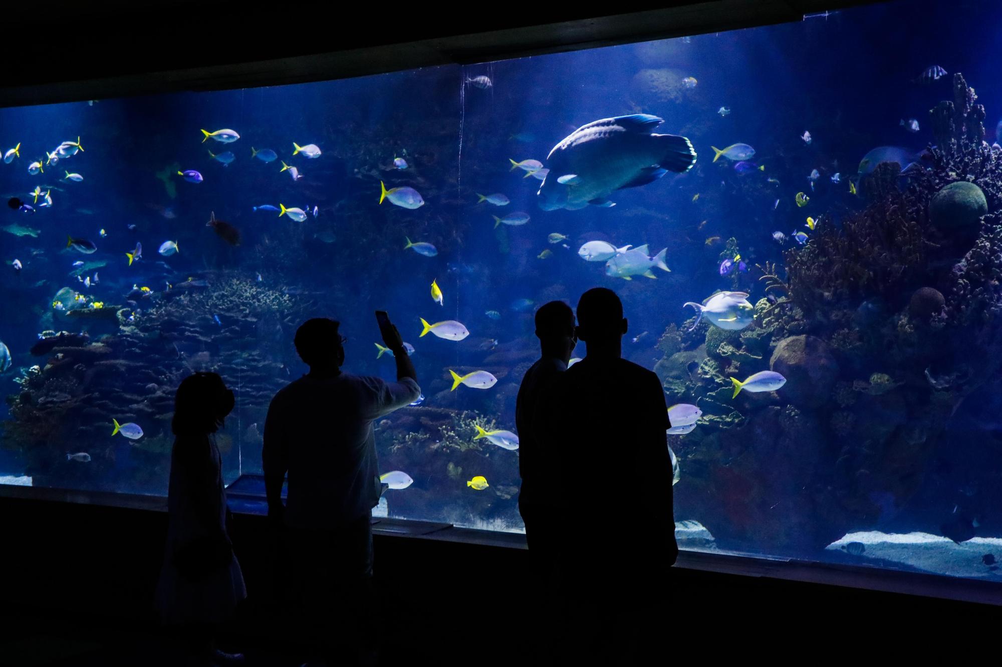 La cara oculta de l'Oceanogràfic