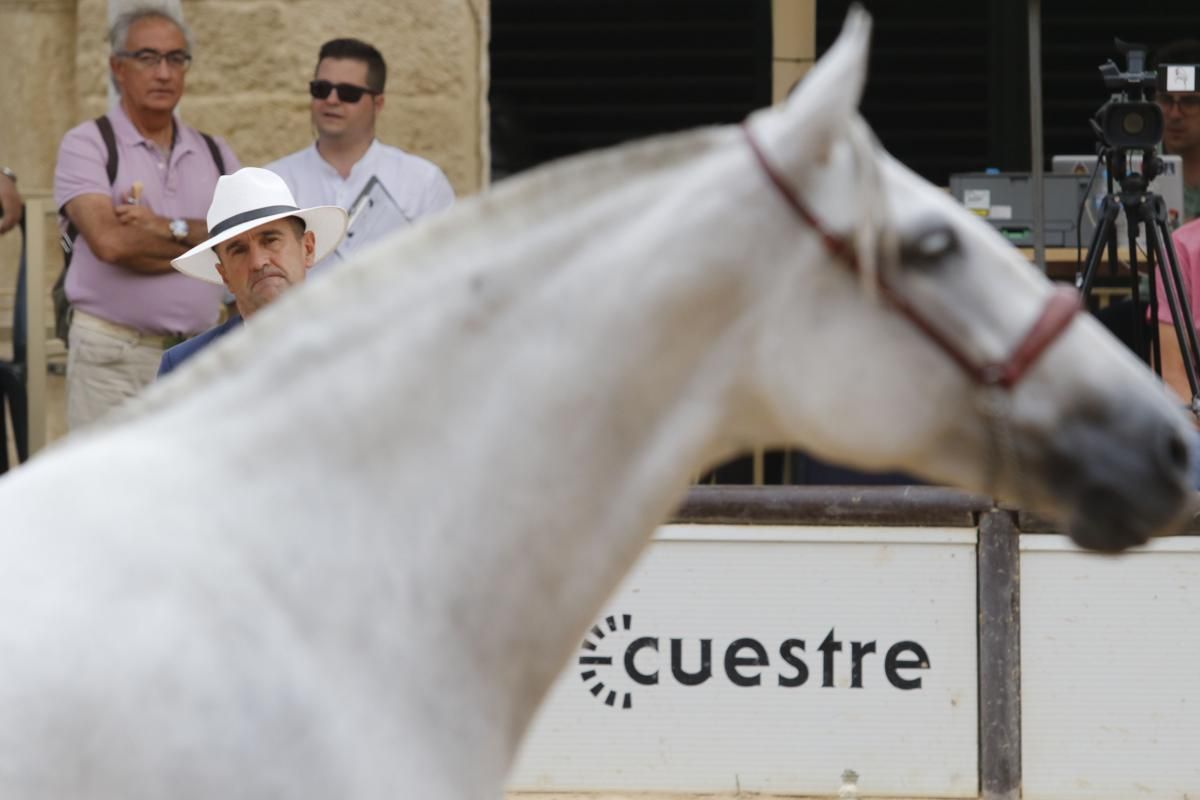 Calbalcor abre sus puertas