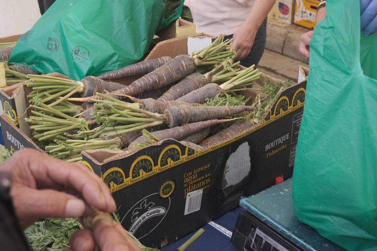 Fiesta de la Zanahoria Morá de Cuevas de San Marcos
