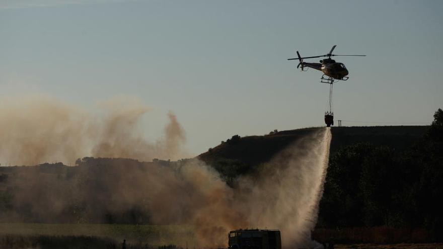 El incendio en Carrascal calcina 4,5 hectáreas de rastrojo