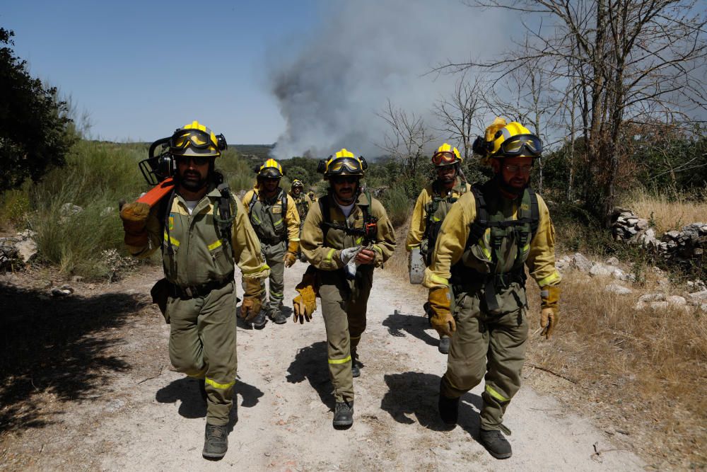 Incendio Pino del Oro y Castro de Alcañices