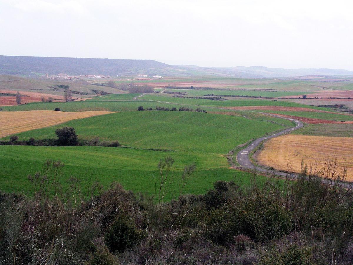 Anchuelo se sitúa en la zona conocida como la campiña del Henares, muy cerca de Alcalá de Henares